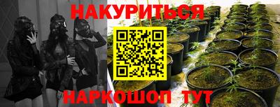 гидропоника Рузаевка