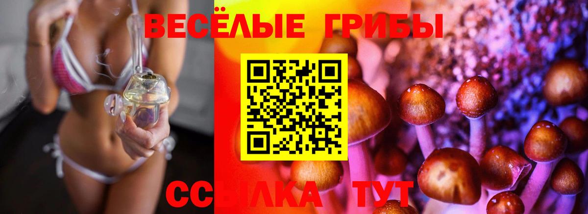 Псилоцибиновые грибы прущие грибы  Вход с VPN  Подольск 